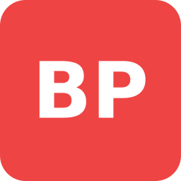 Bürkle Partner Logo